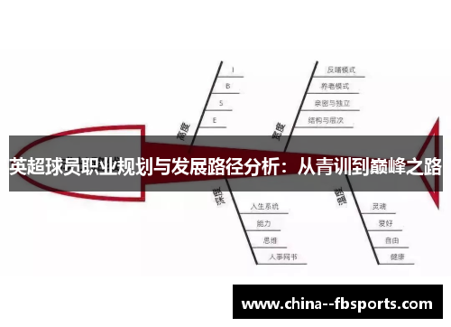 英超球员职业规划与发展路径分析：从青训到巅峰之路