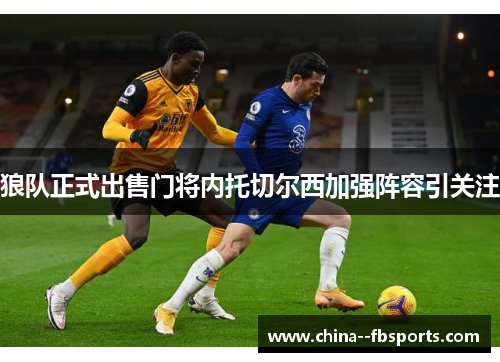 狼队正式出售门将内托切尔西加强阵容引关注