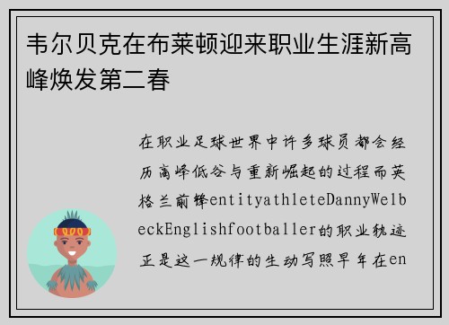 韦尔贝克在布莱顿迎来职业生涯新高峰焕发第二春